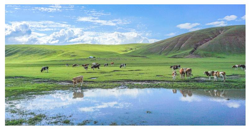 1665391535125264.png image.png