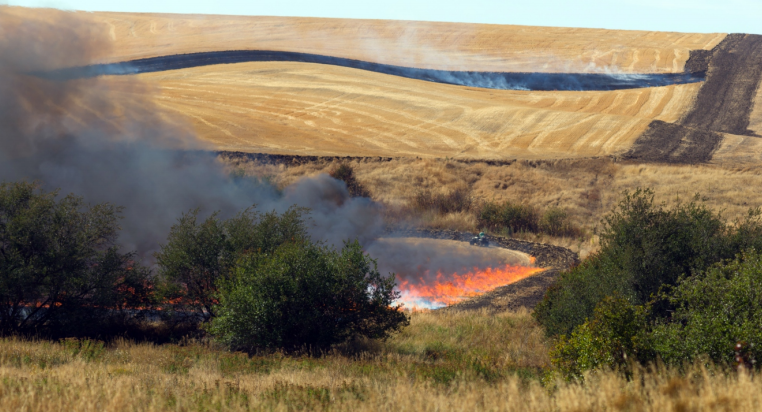 1665816520111581.png image.png