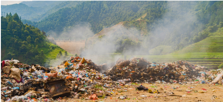 1666496987159997.png image.png