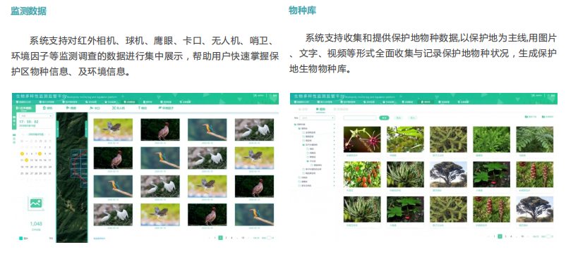 1666589576966040.png image.png