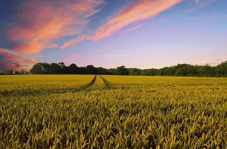 奧斯恩智慧農(nóng)業(yè)氣象監(jiān)測站、助推高標(biāo)準(zhǔn)農(nóng)田建設(shè)應(yīng)用百科