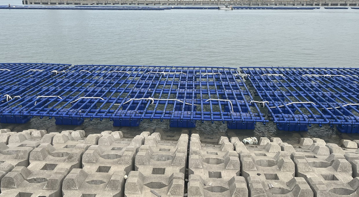 生蠔養(yǎng)殖水質(zhì)污染監(jiān)測(cè)、助推養(yǎng)殖業(yè)提升品質(zhì)應(yīng)用方案