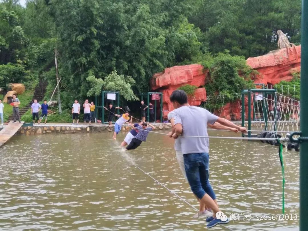 1730711779277054.jpg 1730711779277054.jpg