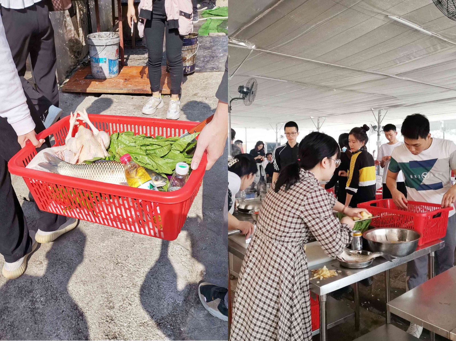 1730714570900514.jpg 1730714570900514.jpg