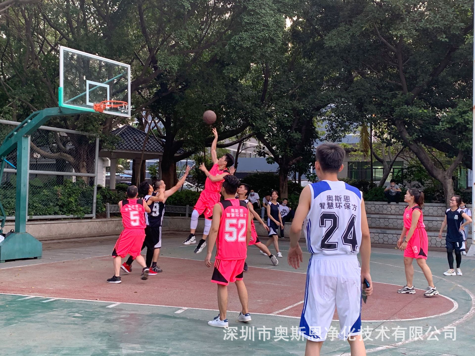 1730715923499530.jpg 1730715923499530.jpg