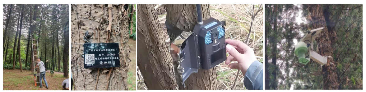 1731985928789322.png 1731985928789322.png