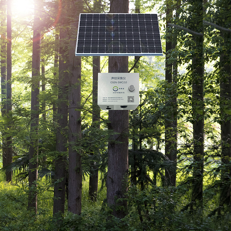 鳥類聲紋識別系統