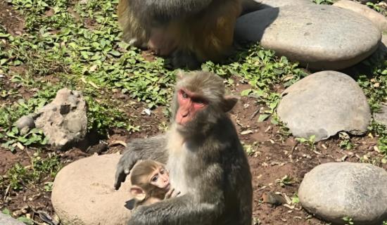 1751341786265713.jpg 20250701114925.jpg