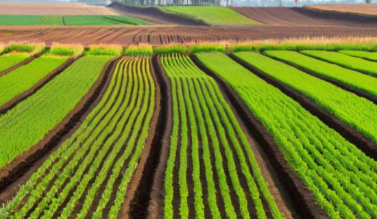 1757919093182081.jpg 20250915145057.jpg