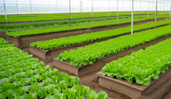 1758869078931697.jpg 20250926144407.jpg